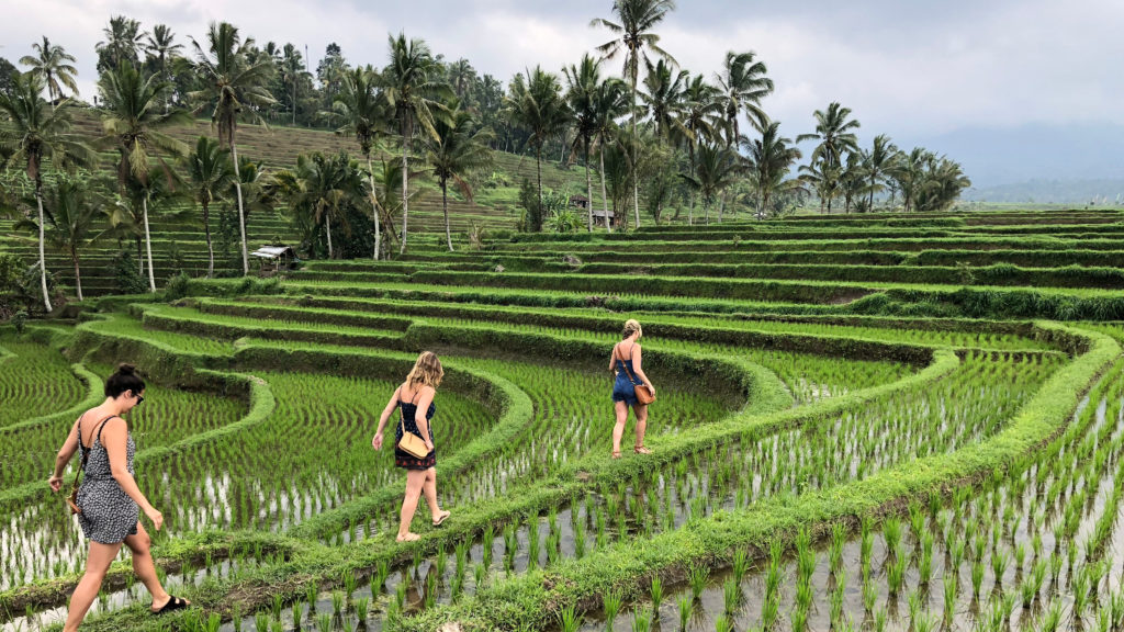 Bali: Ubud to Seminyak - Andrea's Next Venture